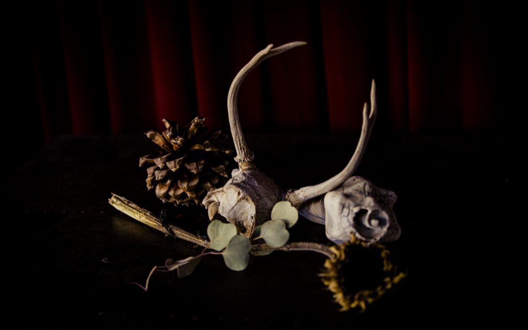Still Life with Deer Scull