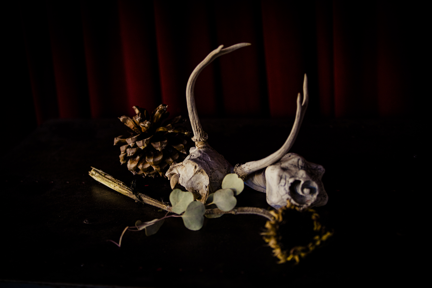 Still Life with Deer Scull