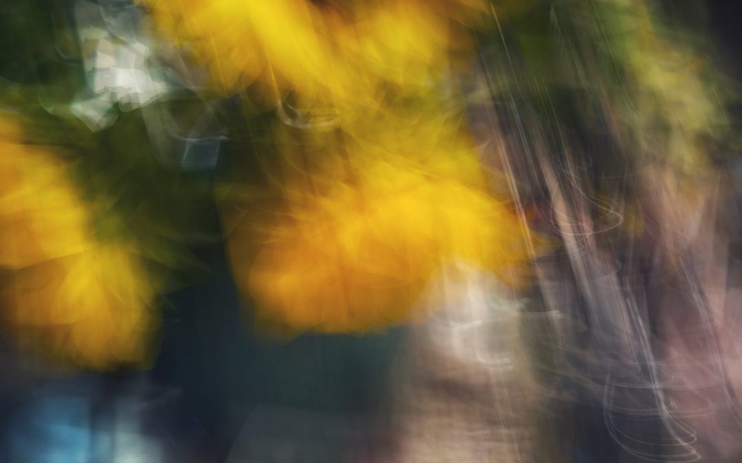 Sunflowers blurred…