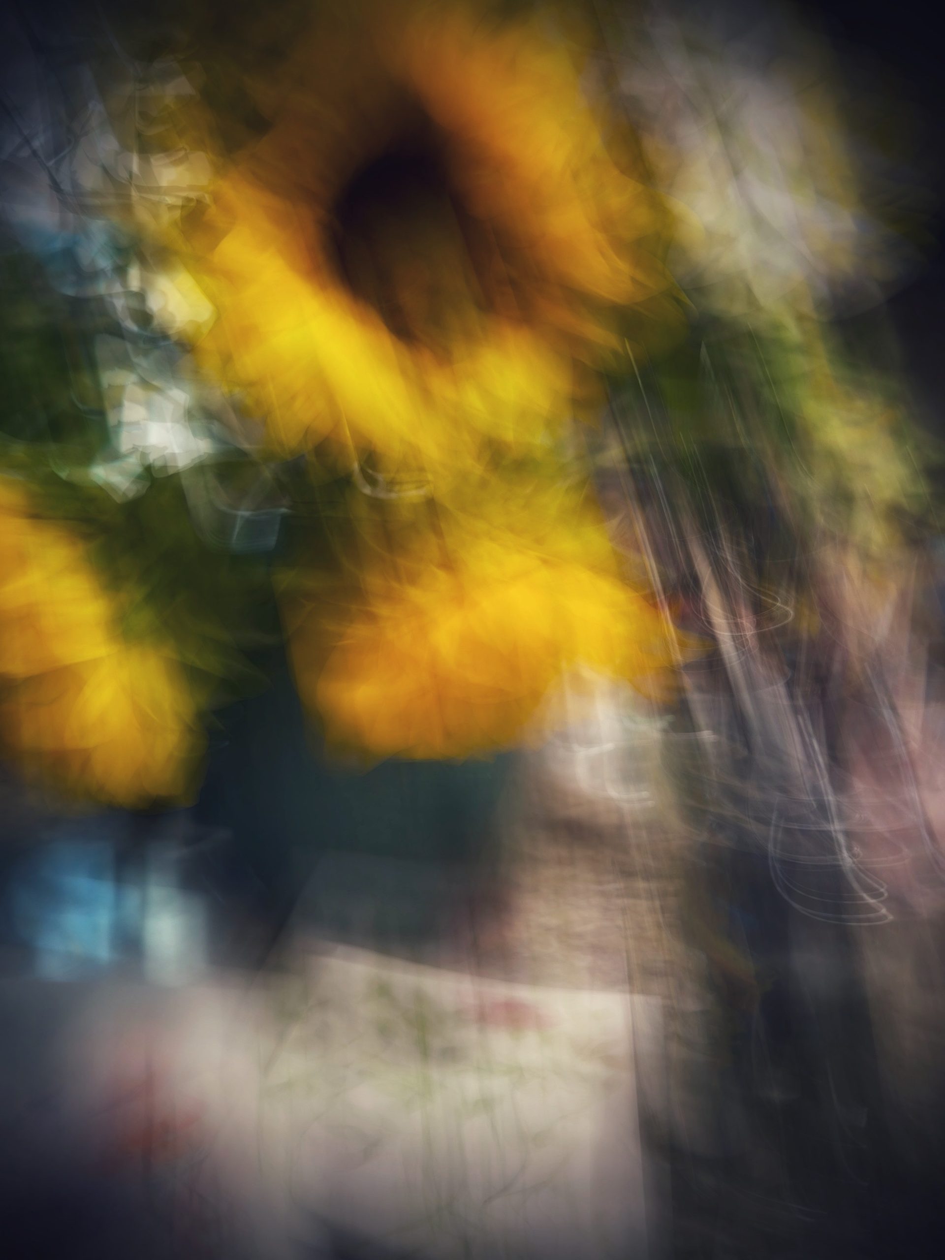 Sunflowers blurred…