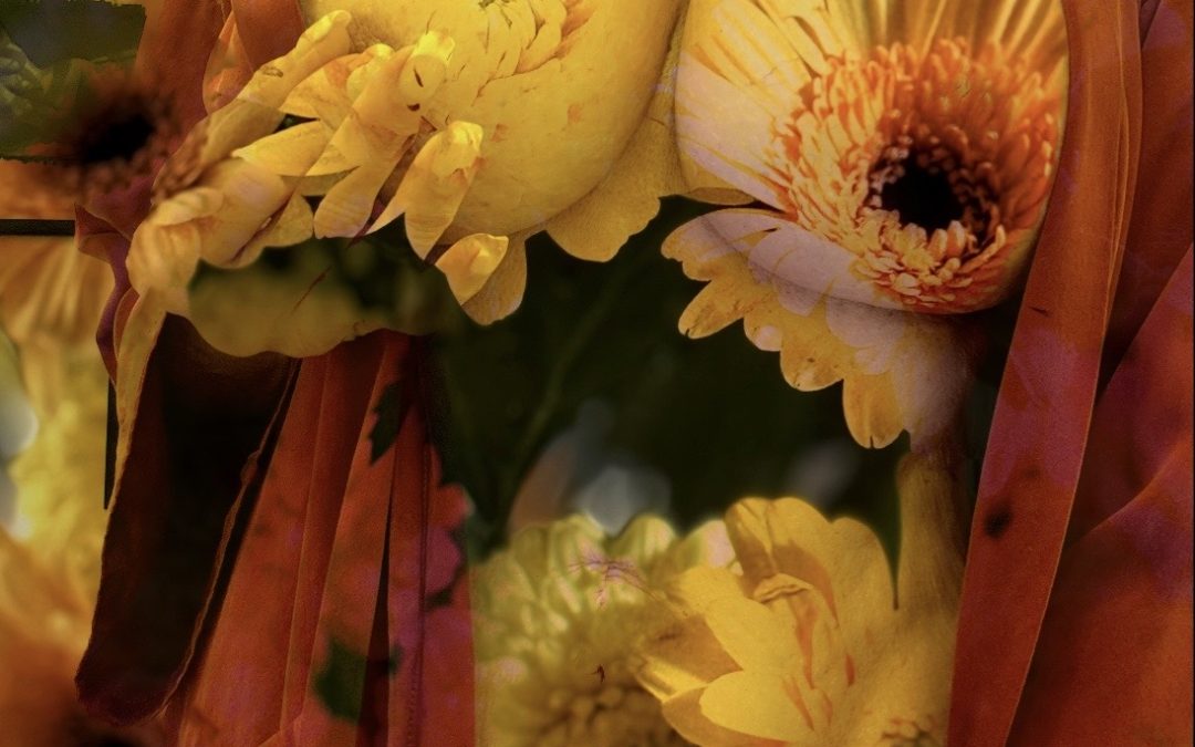 In the Garden of Blooming Imagination