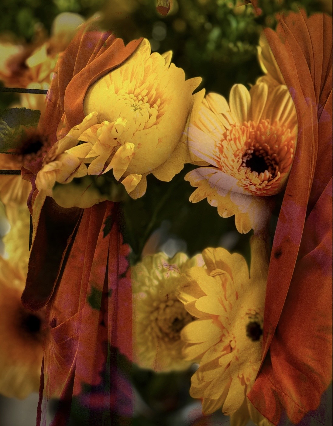 In the Garden of Blooming Imagination
